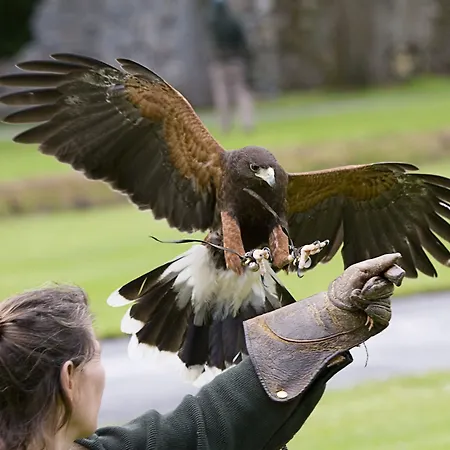 Hotel Ashford Castle