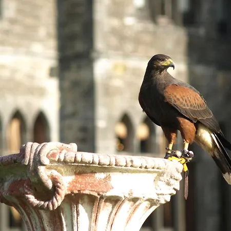 Ashford Castle Hotel 5*