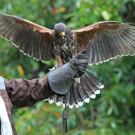 Ashford Castle 5* COUNTY MAYO