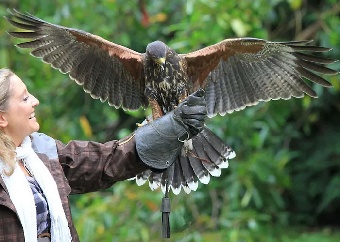 Ashford Castle 5* Конг